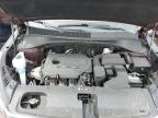 2019 Kia Sorento L   for Sale in New Britain, CT - Vandalism