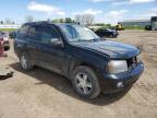 2006 Chevrolet Trailblazer Ls for Sale in Portland, MI - Front End