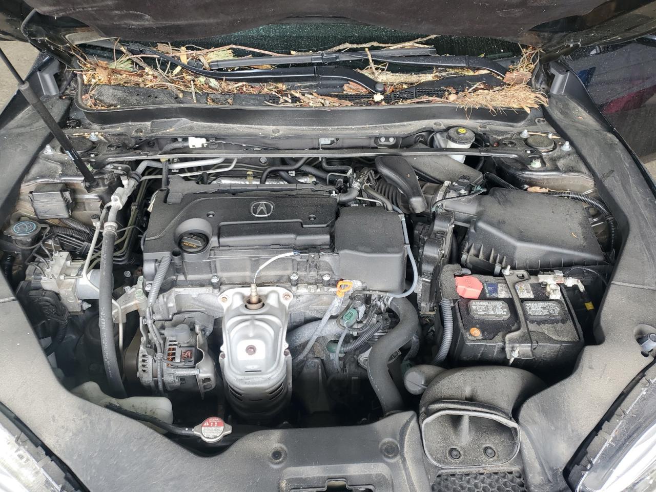 2020 Acura Tlx VIN: 19UUB1F35LA011840 Lot: 55678505