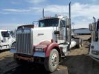 Brighton, CO에서 판매 중인 2007 Kenworth W900 Semi Truck - Normal Wear