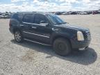 2007 Cadillac Escalade Luxury for Sale in Earlington, KY - Hail