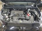 2025 Toyota Rav4 Xle Premium zu verkaufen in Ham Lake, MN - Front End