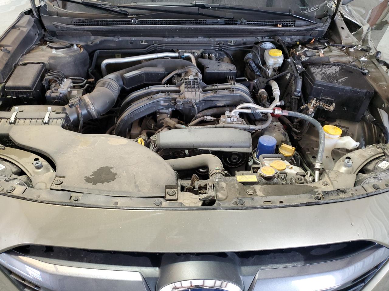 2024 Subaru Outback Premium VIN: 4S4BTAFC6R3169681 Lot: 57252395