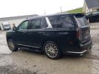 2021 Cadillac Escalade Premium Luxury en Venta en Northfield, OH - Rear End