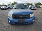 2009 Ford Escape Xlt на продаже в Hillsborough, NJ - Minor Dent/Scratches
