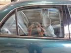 1998 Buick Century Limited zu verkaufen in Angola, NY - Side