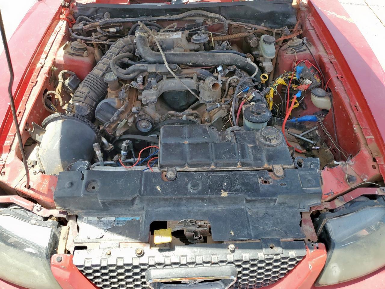 2003 Ford Mustang Gt VIN: 1FAFP42X73F410129 Lot: 57708595