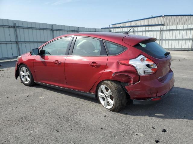  FORD FOCUS 2014 Maroon