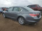 2011 Honda Accord Exl продається в Brighton, CO - Front End
