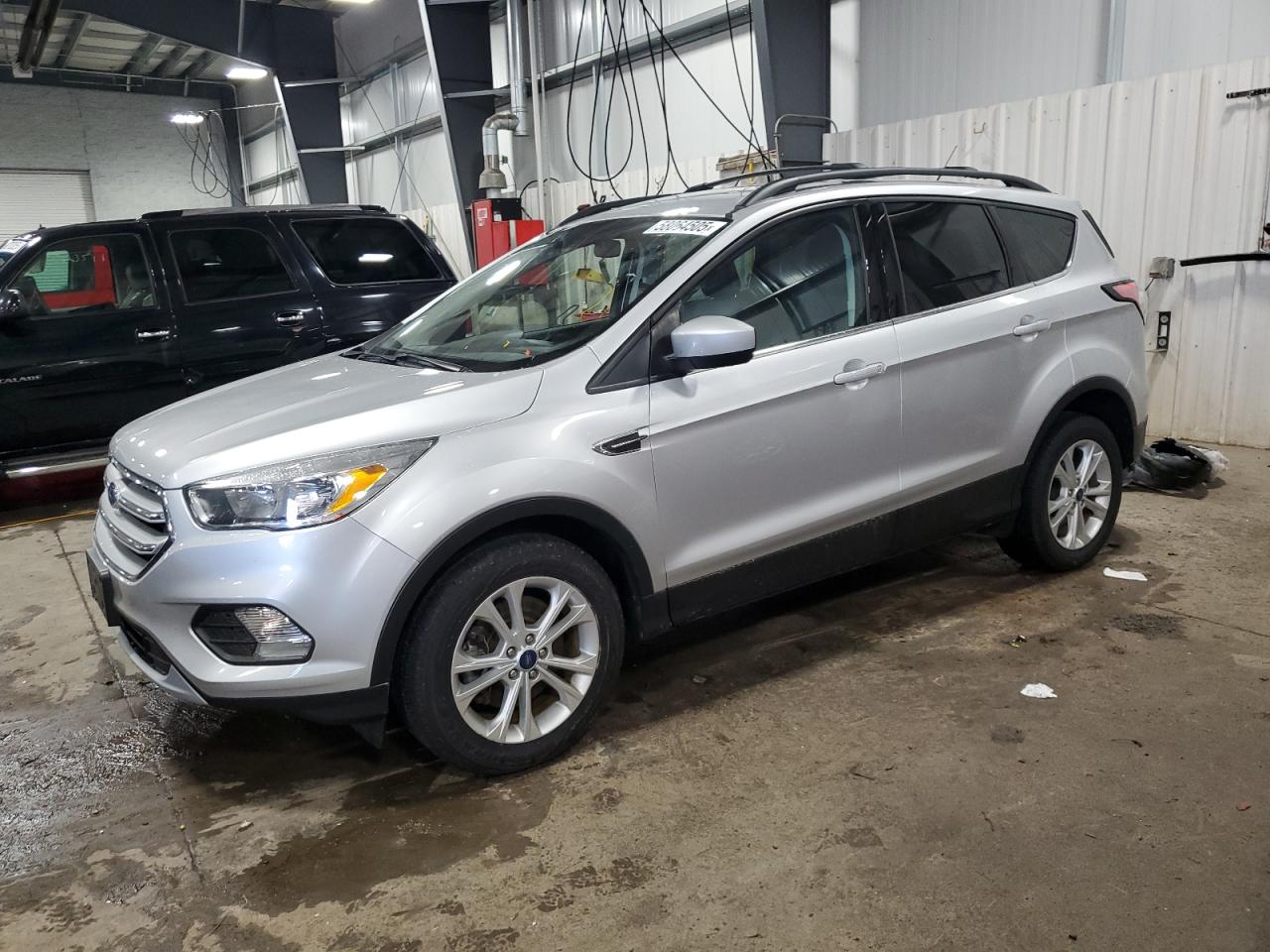 2018 Ford Escape Se იყიდება Ham Lake-ში, MN - Hail