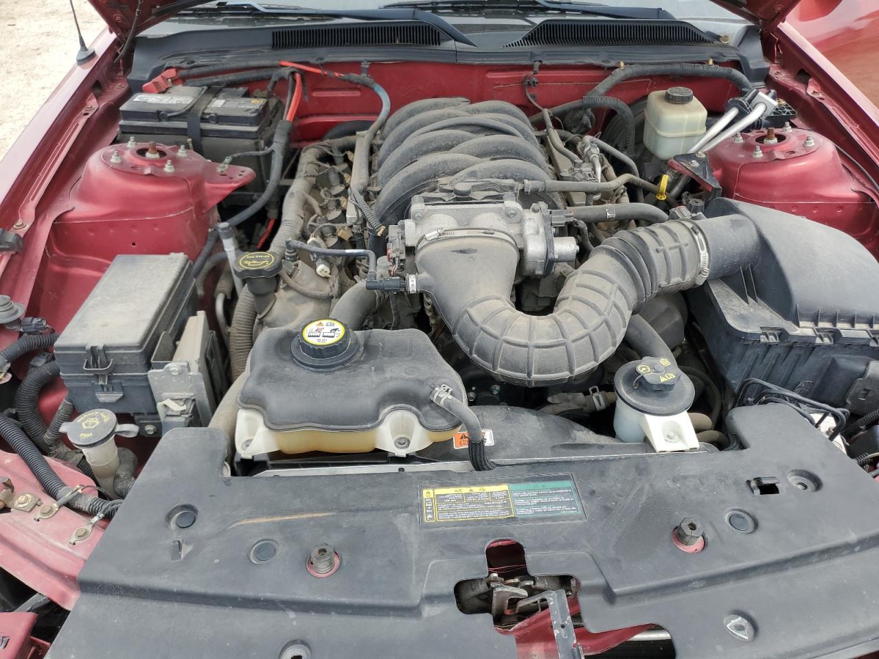 2006 Ford Mustang Gt VIN: 1ZVFT82H865263803 Lot: 56177355