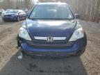 2007 HONDA CR-V EXL à vendre chez Copart ON - COOKSTOWN