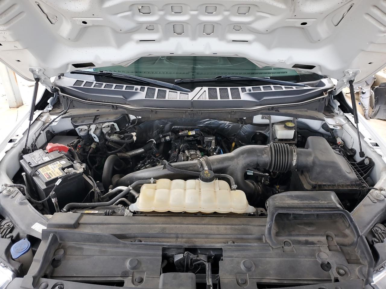 1FTEW1EP4MKE35176 FORD F-150 2021