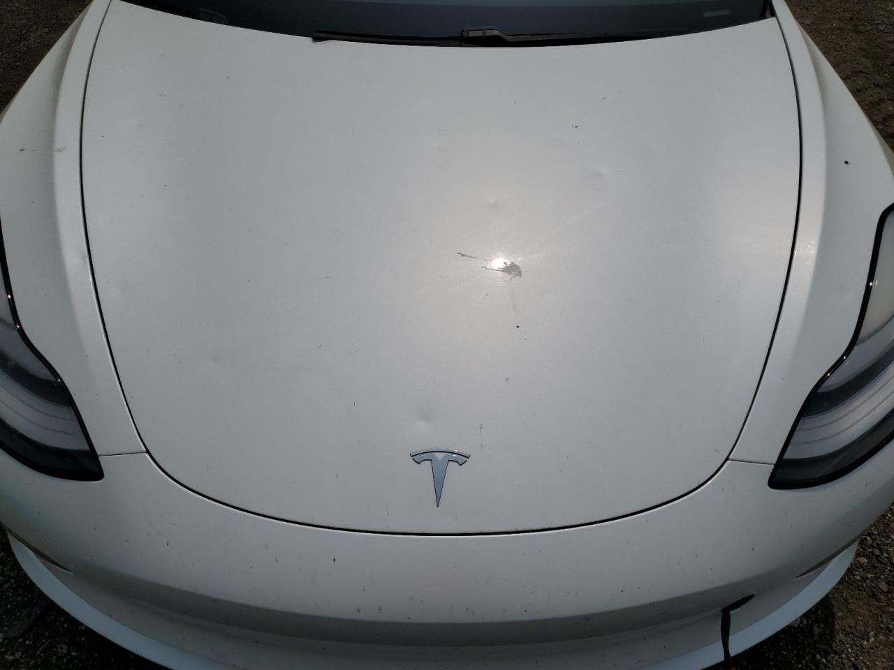 2020 Tesla Model 3 VIN: 5YJ3E1EB9LF665225 Lot: 56965075