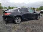 2012 Honda Accord Exl en Venta en Marlboro, NY - Front End