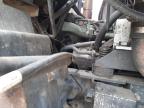 2014 DENS ELITE 6 (6 for sale at Copart WOLVERHAMPTON