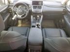 2020 Lexus Nx 300 en Venta en Houston, TX - Front End