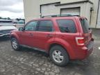 2010 Ford Escape Xlt for Sale in Woodburn, OR - Front End