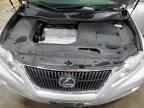 2011 Lexus Rx 350 на продаже в Ham Lake, MN - Rear End
