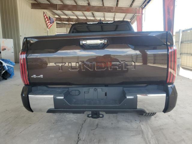  TOYOTA TUNDRA 2024 Brown