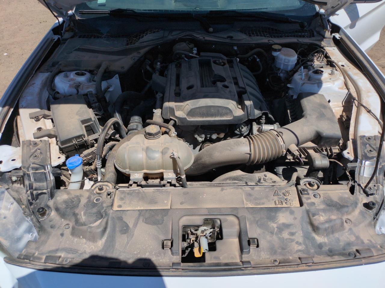 2020 Ford Mustang VIN: 1FA6P8TH2L5191214 Lot: 56068535
