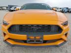 2018 Ford Mustang  for Sale in Houston, TX - Hail