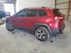 2014 Jeep Cherokee Trailhawk for Sale in Lawrenceburg, KY - Hail