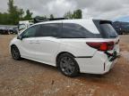 2025 Honda Odyssey Touring на продаже в Oklahoma City, OK - Rear End