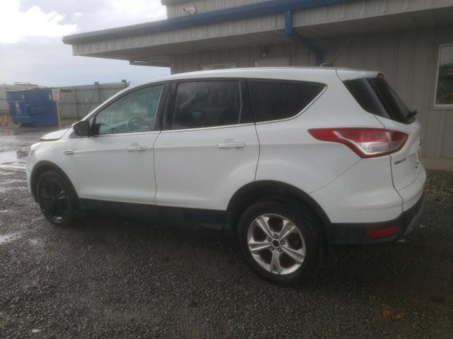 Паркетники FORD ESCAPE 2015 Белый