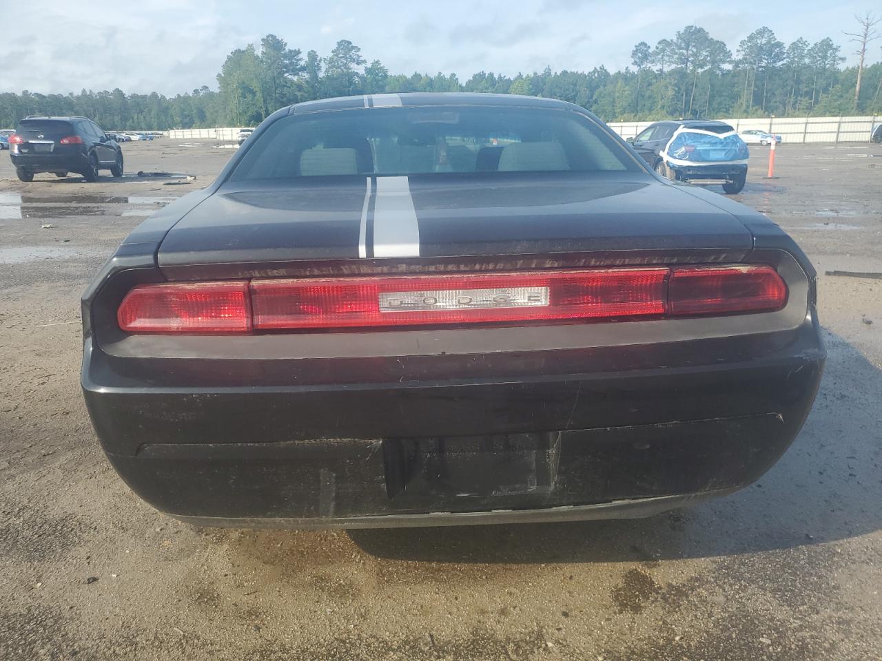2010 Dodge Challenger Se VIN: 2B3CJ4DV3AH306437 Lot: 56417065