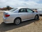 Brighton, CO에서 판매 중인 2009 Toyota Corolla Base   - Front End