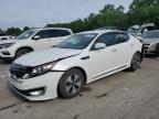 2011 Kia Optima Hybrid na sprzedaż w Ellwood City, PA - Rear End