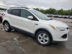 Littleton, CO에서 판매 중인 2014 Ford Escape Se - Front End