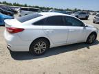 2016 Hyundai Sonata Se за продажба в Antelope, CA - Vandalism