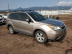 2014 Subaru Forester 2.5I Premium   zu verkaufen in Colorado Springs, CO - Rear End