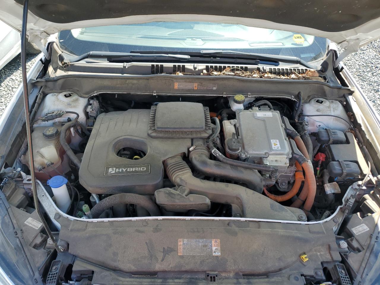 2018 Ford Fusion Se Hybrid VIN: 3FA6P0LU1JR171917 Lot: 54028175