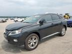 2014 Lexus Rx 350 იყიდება Grand Prairie-ში, TX - Front End