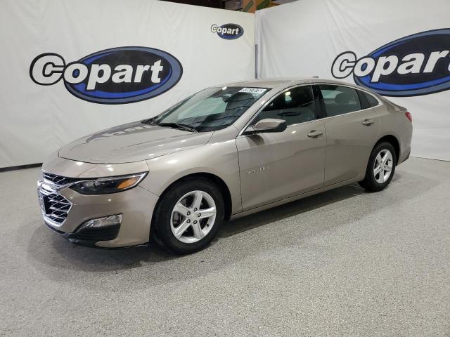  CHEVROLET MALIBU 2023 Gold