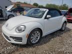 2019 Volkswagen Beetle S na sprzedaż w Columbus, OH - Side