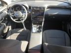 2024 Hyundai Tucson Blue for Sale in Prairie Grove, AR - Rear End