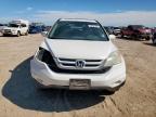 2010 Honda Cr-V Exl de vânzare în Amarillo, TX - Front End