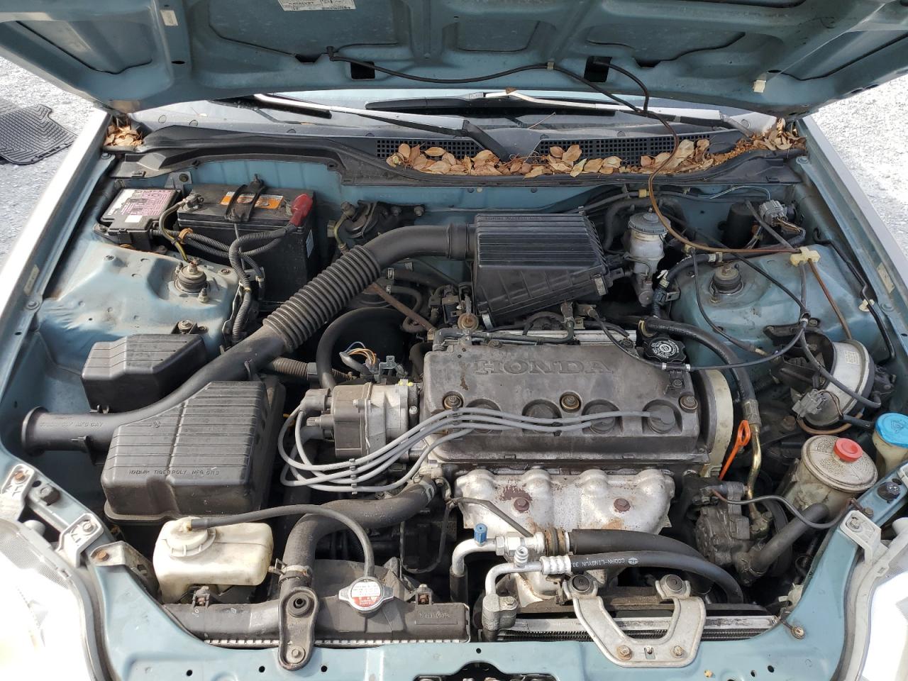 1999 Honda Civic Lx VIN: 2HGEJ6672XH560538 Lot: 55954395