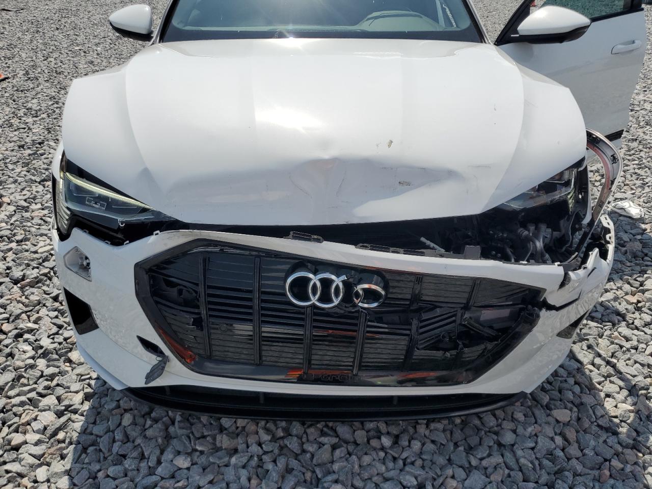 2022 Audi E-Tron Premium Plus VIN: WA1LAAGE8NB019791 Lot: 56399155