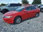 2007 Acura Tsx  for Sale in Apopka, FL - Rear End