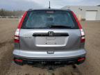 2007 HONDA CR-V LX à vendre chez Copart ON - COOKSTOWN