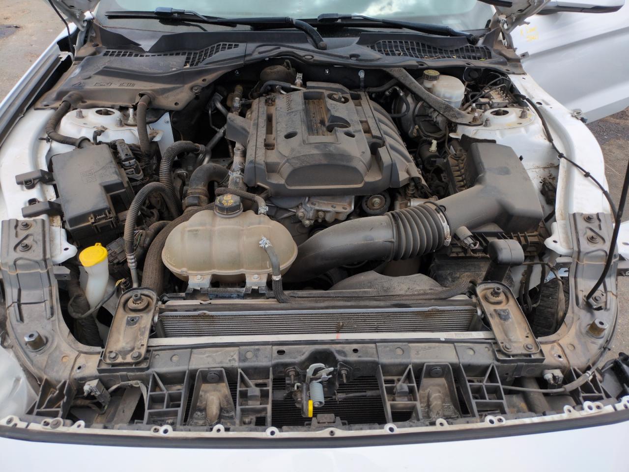 1FATP8UH2K5171898 FORD ALL Models 2019