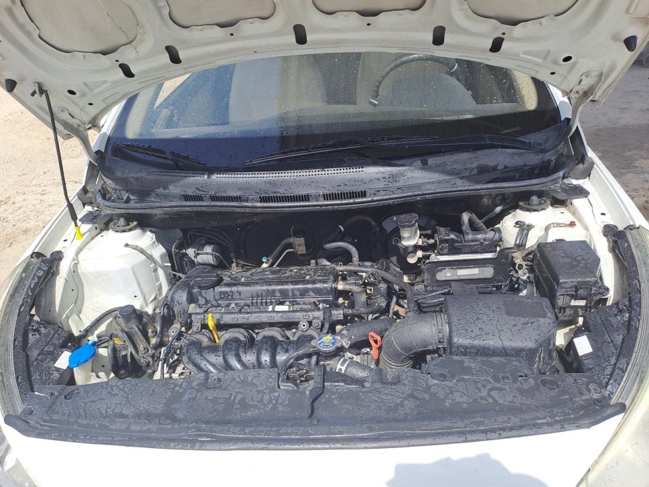 KMHCT41D0GU090424 - 2013 Hyundai Accent - #55542515