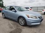 2011 Honda Accord Exl for Sale in Dunn, NC - Vandalism