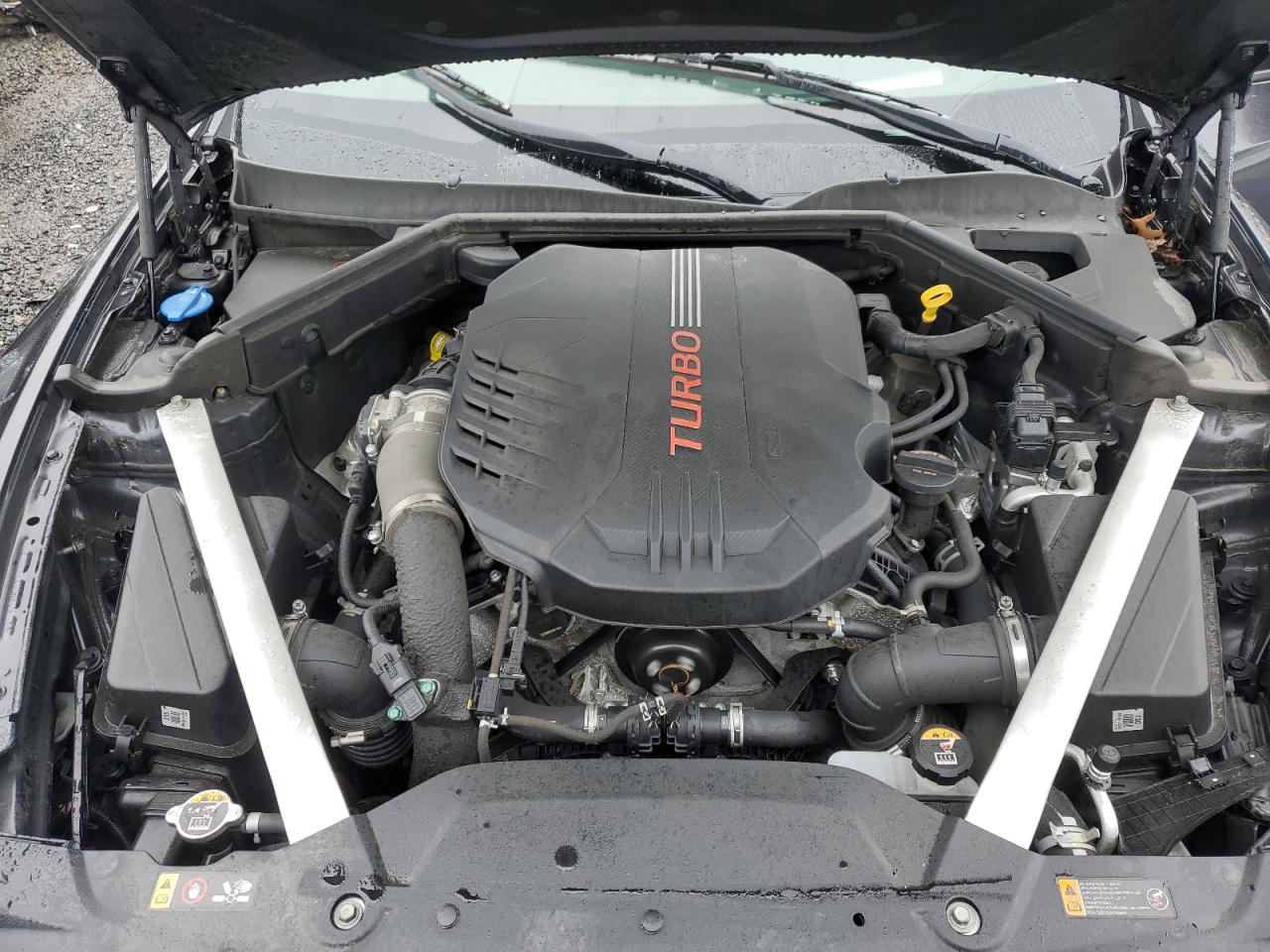 2023 Kia Stinger Gt2 VIN: KNAE55LC9P6134519 Lot: 57840775