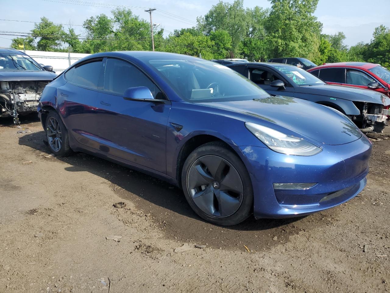 2019 Tesla Model 3 VIN: 5YJ3E1EB4KF191411 Lot: 57305895